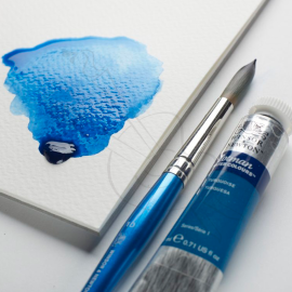 ACUARELA WINSOR & NEWTON COTMAN