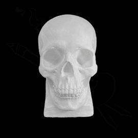 CALCO DE YESO CRÁNEO 01