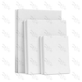 LIENZOS PROFESIONALES