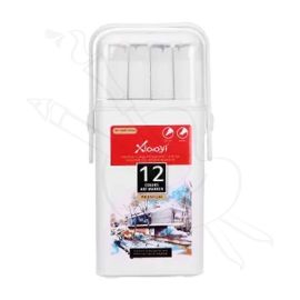 MARCADORES DUAL BRUSH XIAOYI MARKER X12