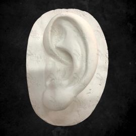 CALCO DE YESO OREJA