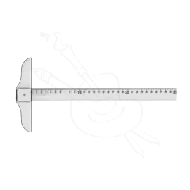 REGLA T DE 30CM