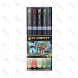 SET DE MARCADORES TONOS NATURALES CHAMELEON X5