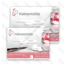 BLOCK HARMONY EMPASTADO GRANO FINO 300GRS