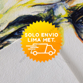 CARTULINA CANSON C À GRAIN 50 X 65 CM 224GRS