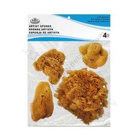 SET X4 DE ESPONJA MARINA ROYAL & LANGNIKEL