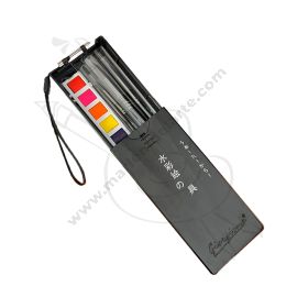 CAJA PLASTICA DE PINCELES GIORGIONE PUNTA REDONDA x4 CON SET DE ACUARELAS X12