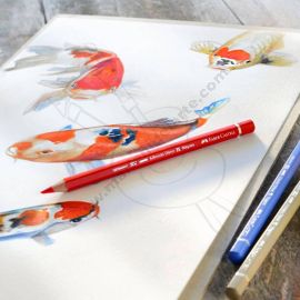 LÁPIZ ACUARELABLE ALBRECHT DÜRER MAGNUS