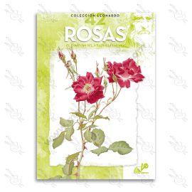 LIBRO ROSAS 42 COLECCIÓN LEONARDO