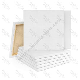 LIENZOS PROFESIONALES CON MARCO DE CEDRO