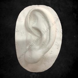 CALCO DE YESO OREJA