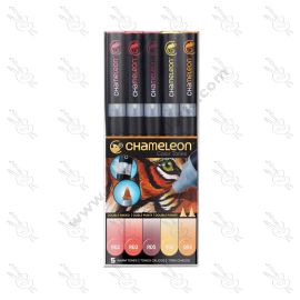 SET DE MARCADORES TONOS CÁLIDO CHAMELEON X5