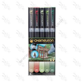SET DE MARCADORES TONOS NATURALES CHAMELEON X5